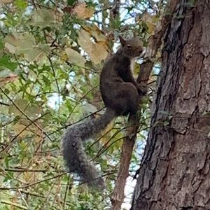 Meet your Posher, Jay